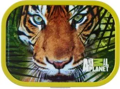 Mepal Brotdose Campus - Animal Planet Tiger -Küchenorganisation Verkäufe 212 107440065354a