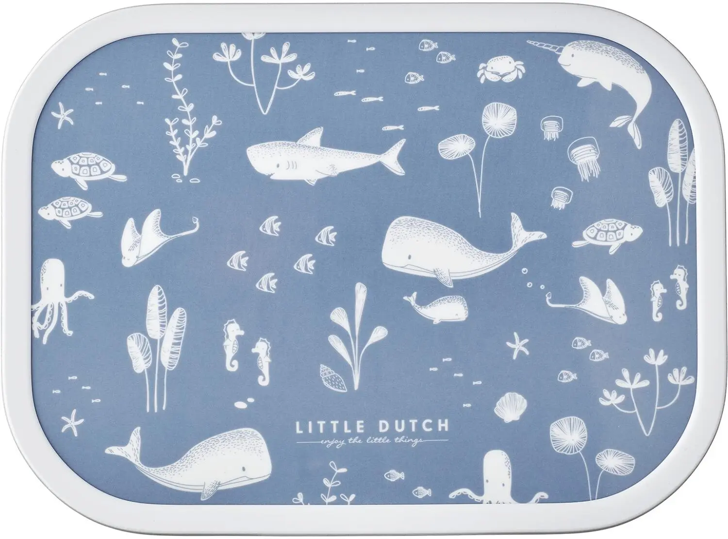 Mepal Brotdose Campus - Ocean 5 Mepal Brotdose Campus - Ocean – Bild 3