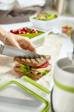 Emsa Brunchbox Clip & Go Mit Gittereinsatz 9 Emsa Brunchbox Clip & Go Mit Gittereinsatz -Küchenorganisation Verkäufe Emsa Clip Go Sandwichbox 449296 neu 2 l