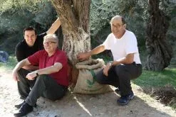 Jordan Olivenöl Kanister Nativ Extra 11 Jordan Olivenöl Kanister Nativ Extra -Küchenorganisation Verkäufe IMG 4412 klein l 1