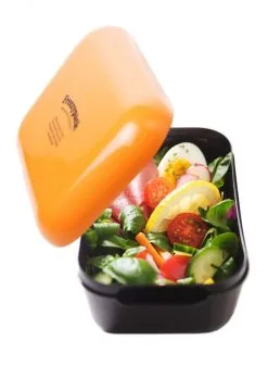 Frozzypack Lunchbox Original In Orange -Küchenorganisation Verkäufe IMG 6130 l