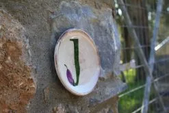 Jordan Olivenöl Kanister Nativ Extra 13 Jordan Olivenöl Kanister Nativ Extra -Küchenorganisation Verkäufe IMG 8239 klein l 1